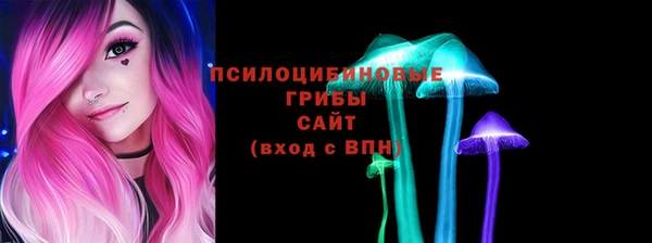 a pvp Кодинск