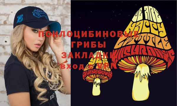 a pvp Кодинск