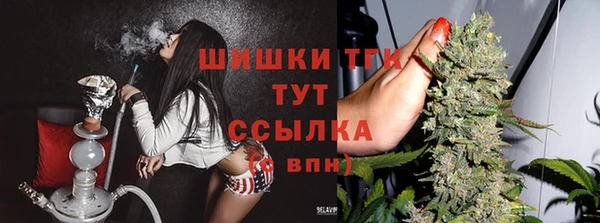 дживик Козловка