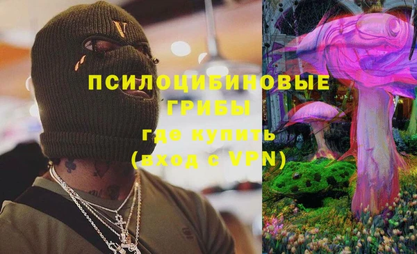 спайс Козельск