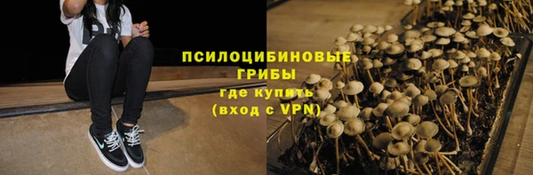 a pvp Кодинск