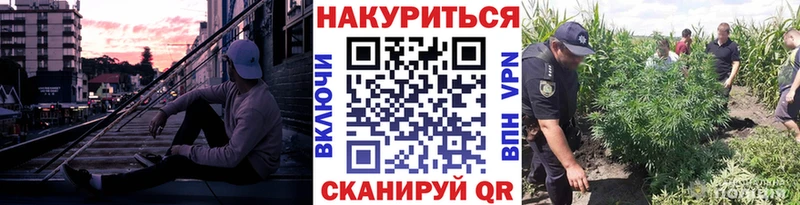 Конопля Bruce Banner  Купить  Бикин 